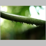 Vista Wallpapers 029.JPG